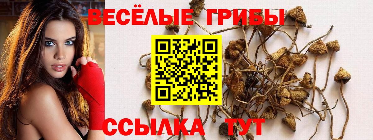 Псилоцибиновые грибы Magic Shrooms  Вход с VPN  Ханты-Мансийск 