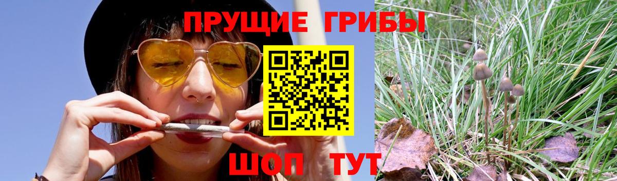 Псилоцибиновые грибы MAGIC MUSHROOMS Ханты-Мансийск